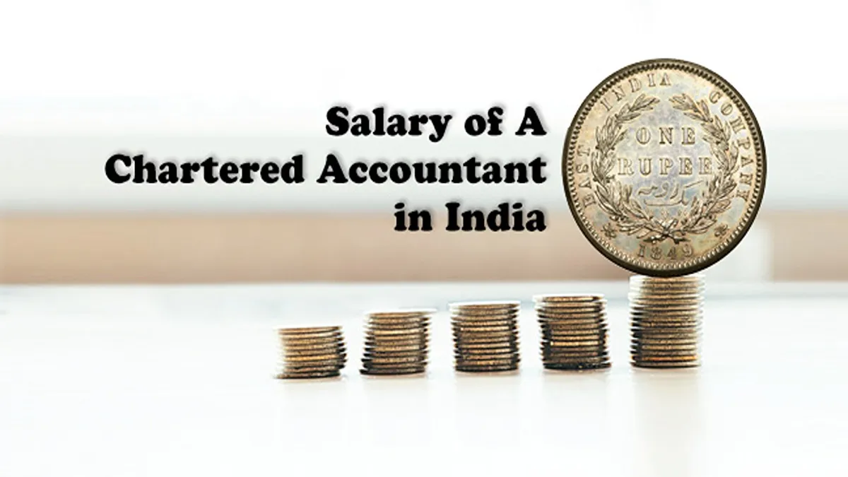 Chartered Accountant Or CA Salary In India 2024 Know Everything