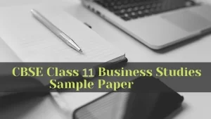 Sample Paper of Business Studies Class 11