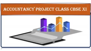CBSE Accounts Project Class 11